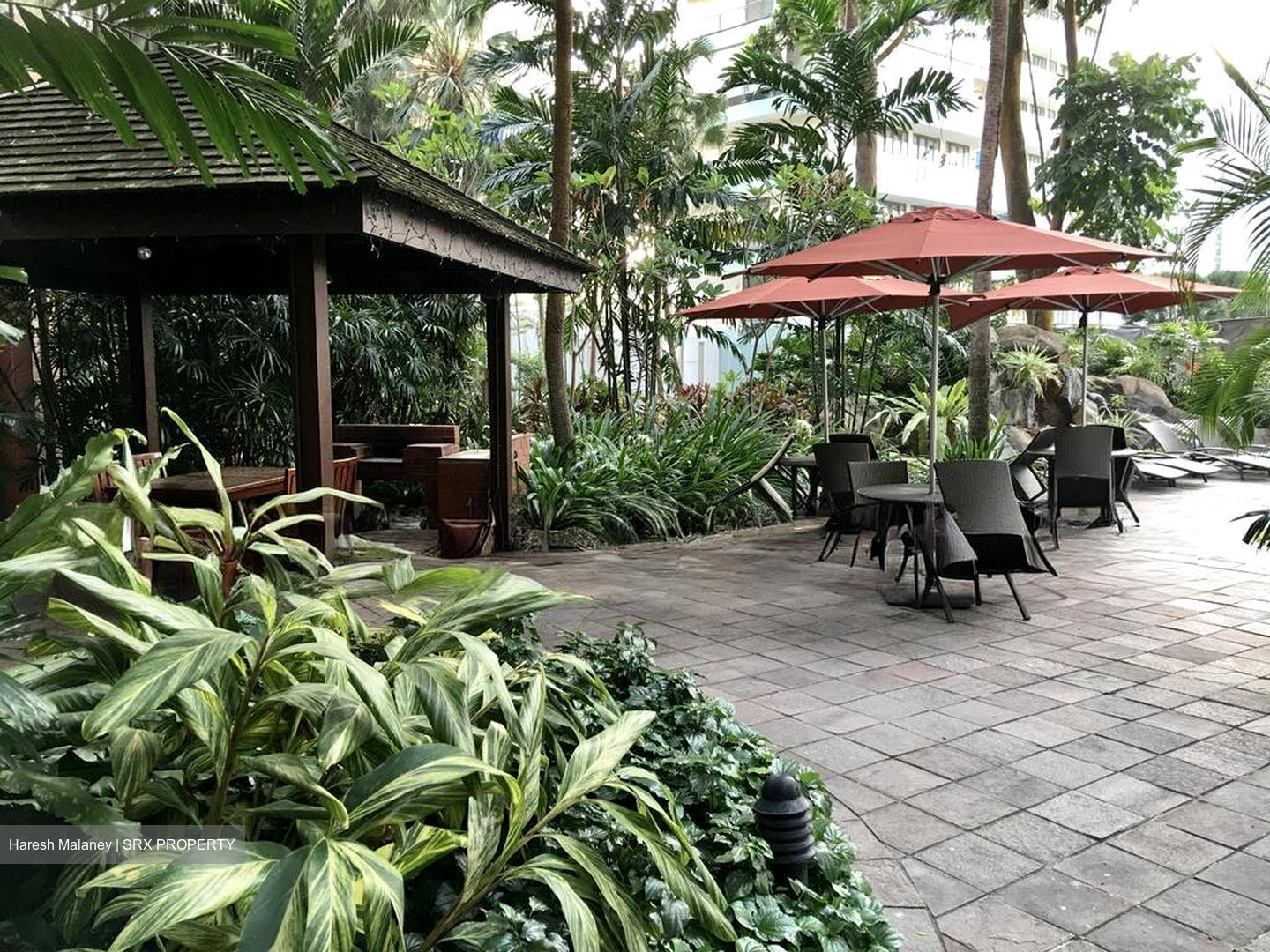 Leonie Gardens (D9), Condominium #499224501
